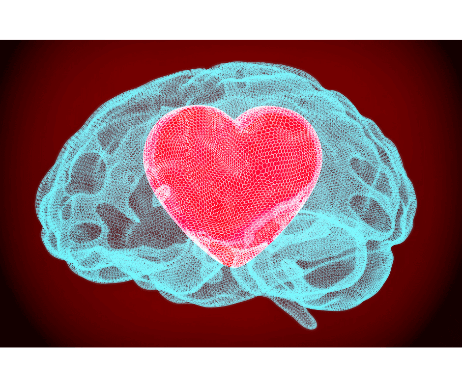 heart shows through brain imagery